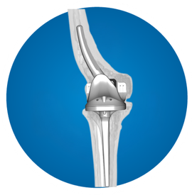 Icon: Knee